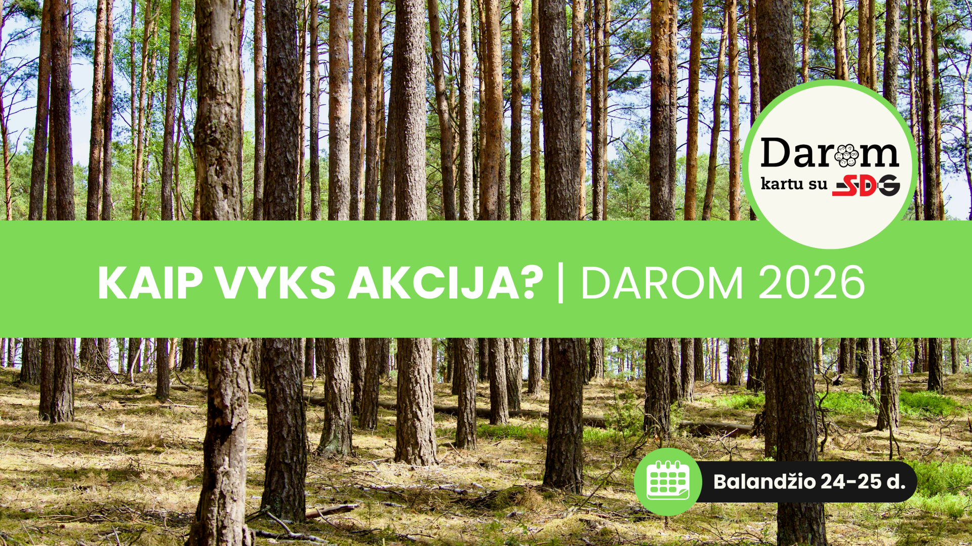 Важная информация для участников акции «Darom 2026» в Висагинасе