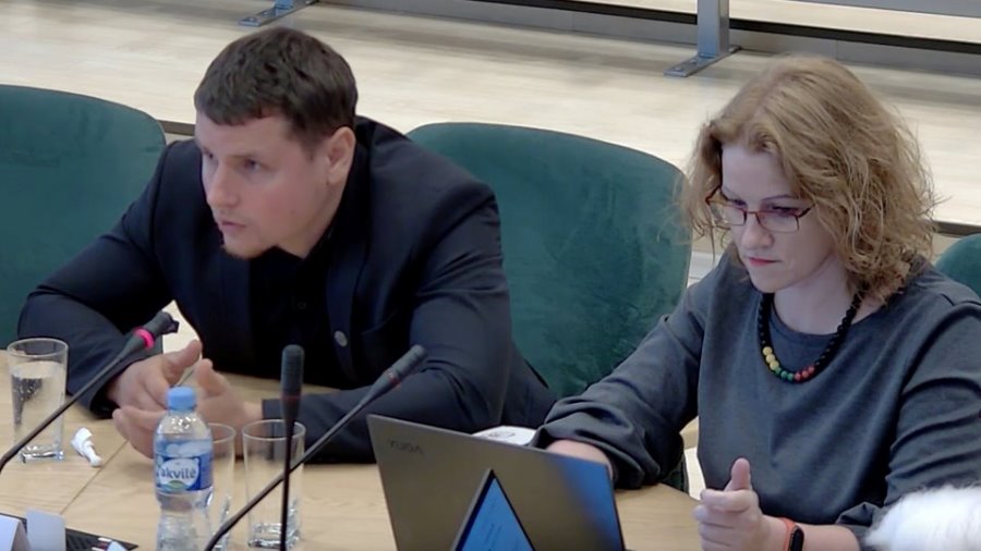 Аирида Друсь: мое мнение о заседании совета от 14 ноября (видео)